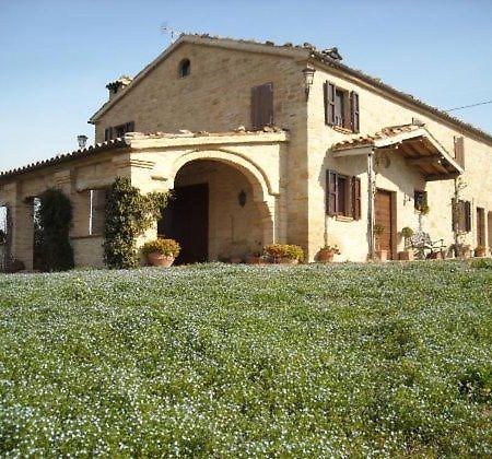 Cascinale La Mimosa Bed & Breakfast Cupramontana Ngoại thất bức ảnh
