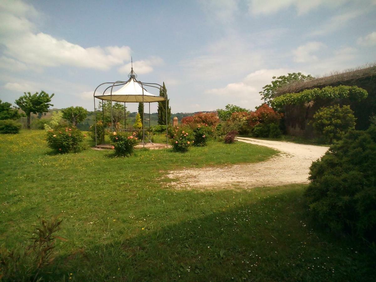 Cascinale La Mimosa Bed & Breakfast Cupramontana Ngoại thất bức ảnh